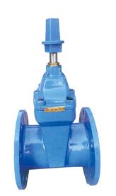 RVX-12/14帶傳動帽彈(dàn)性座封閘閥